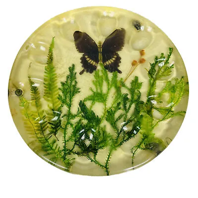 Vintage MCM Deviled Egg Lucite Plate Dish Trivet Plastic Butterfly  Mid Century • $14.95