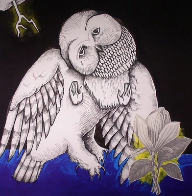 £28.60 • Buy SONGS: OHIA - Magnolia Electric Co (10th Anniversary Deluxe Edition) - 2xLP