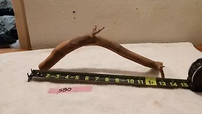 #580 Genuine Aquarium Reptile Manzanita Driftwood • $22