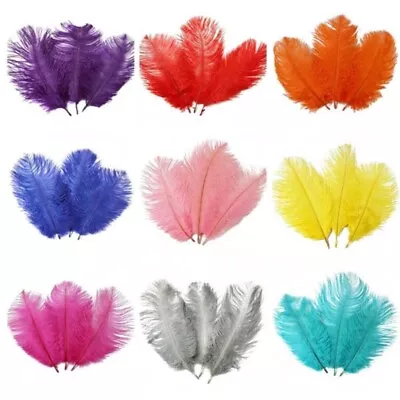 10 PCS Beautiful Ostrich Feathers Fly Plume Craft Hat Arts Decorations Party • $19.95