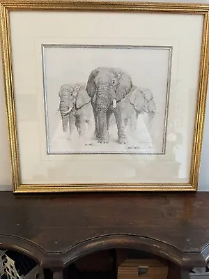 Elephant Pencil Drawing Limited Edition By David Shepherd • £75