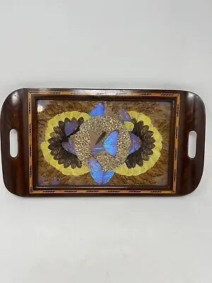 VTG Mid Century Hand Made Wooden Tray Inlay With Butterfly Wing Art Under Glass • $53