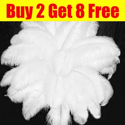Large Ostrich Feathers Christmas Party Ornament Costume Craft Long Plume 25-30cm • £3
