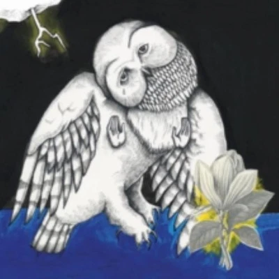 £37.49 • Buy SONGS: OHIA: MAGNOLIA ELECTRIC CO [LP Vinyl]
