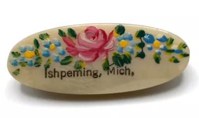 Vintage Hand Painted Floral Ishpeming Michigan Celluloid Pin Souvenir Brooch • $19.99