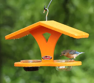 Kettle Moraine Double Recycled Cup Feeder Birdfeeder For Bluebirds Orioles • $59.50