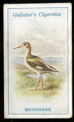 Tobacco Card Gallaher BRITISH BIRDS By GEORGE RANKIN 1923 Redshank #97 • £2