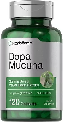 DOPA Mucuna Pruriens 350 Mg Standarized 120 Caps (Velvet Bean) USA Seller • $21.99