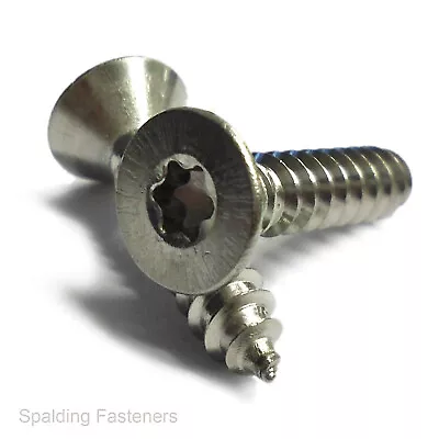 A2 Stainless Steel Countersunk Torx Self Tapping Screws DIN7982 • £2.24