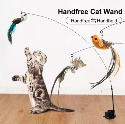 $11.99 • Buy Cat Teaser Toys Suction Base With Rod Feather Hamd Free Interactive Play Toy AU