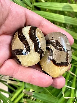 Septarian Crystal Dragon Stone Healing Crystals Yoga Reiki Meditation 2  ZENDA • $9.99