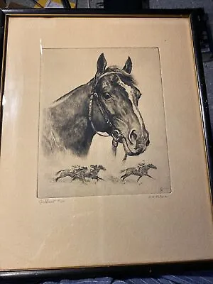 Signed R.H. Palenske Gallant Fox Original Dry Point Etching Horse Art • $125