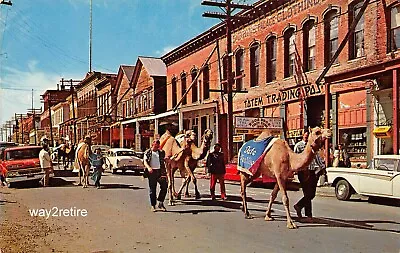 Postcard NV Virginia City Camel Races Jockeys Parade Totem Trading Post Nevada  • $12.99