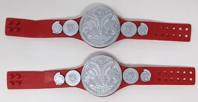 WWE Mattel Elite RAW Tag Team Championship Title Belt Wrestling Figure Lot Belts • $17.99