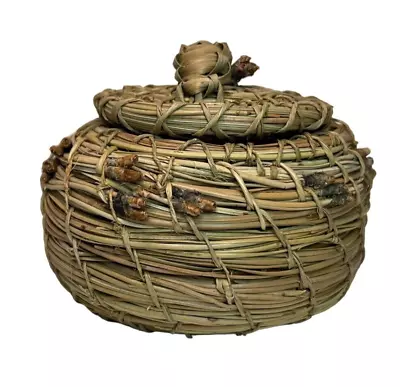 CA Mission BASKET KUMEYAAY KUMIAY Pai Pai Pine Needle Native American Diegueno • $69