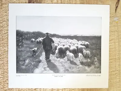 SHEEPAUTUMN BY MAUVE.VTG EXTRA SIZE 12  X 10  PERRY ENGRAVING PRINT*EP6 • $8.99