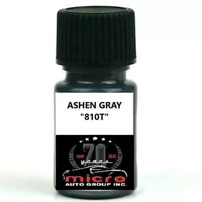 $14.88 • Buy General Motors Ashen Gray 810T Touch Up Paint Kit With Brush 2 Oz SHIPS TODAY