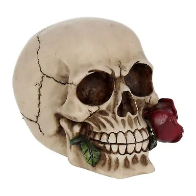 Nemesis Now - Rose From The Dead Figurine 13.5cm Ivory • £15.59