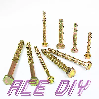 £4.29 • Buy Thunder Bolts Hex Head Steel Self Tapping Concrete Screw M5 M6 M8 M10 M12 M16