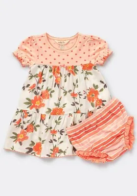 NWT Girls Matilda Jane Dream Chasers Little Flutter Dress Size 12-18 Months NEW • $30.95