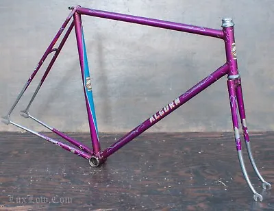 Vintage Algurn Lightweight Track Bike FRAME & FORK Steel Doc Green Pista Bicycle • $1100