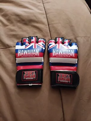 Hawaii Flag Mma Gloves • $30