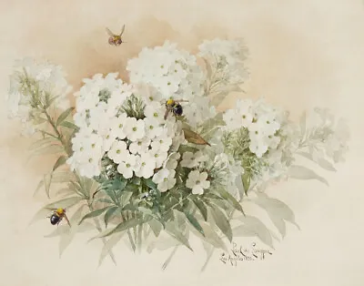 Paul De Longpre Crabapple Blossoms Canvas Print 16 X 20 • $39.99