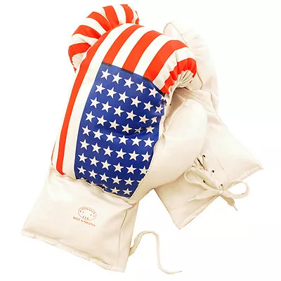 AGE 3-6 KIDS 4 OZ BOXING GLOVES YOUTH PRACTICE TRAINING MMA American USA Flag • $6.95