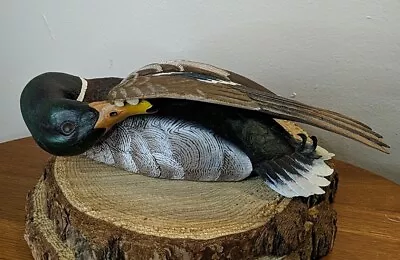 Gosset Wildlife Collection PREENING MALLARD Decoy Limited Edition 676/2000 - CWG • $58.99