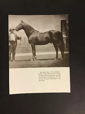 MAN O’ WAR Photo Horse Racing CHAMPION  • $4.99