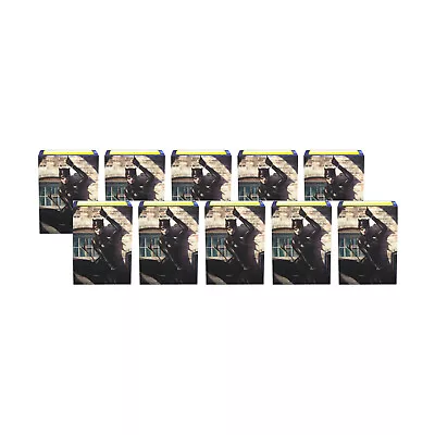 Standard Brushed Art Sleeves - Catwoman (100) - 10 Pack SW • $292.27