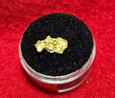 California Natural Gold Nugget 1.3 Grams In A Gem Jar W/lid • $97