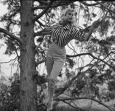 $7.65 • Buy Actress Irish Mccalla Poses At Home In LA 1956 OLD PHOTO 26