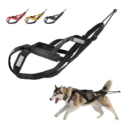 Nylon X-Back Sledding Dog Harness Weight Pulling Mushing Reflective Adjustable  • $24.99