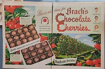 1940's Brach's Chocolate Covered Cherries Box Candy Trees Grove Vintage Ad • $9.99