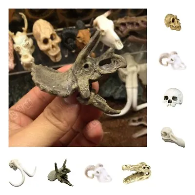 £4.63 • Buy Skull Background Terrarium Vivarium Reptile   Decoration Resin Hide Cave