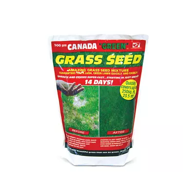 Green 50cm Canada Grass Seed 500g Bag - Lush Lawn • £17.11