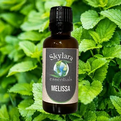 100% Pure Organic Melissa Essential Oil - Free Shipping • $14.99