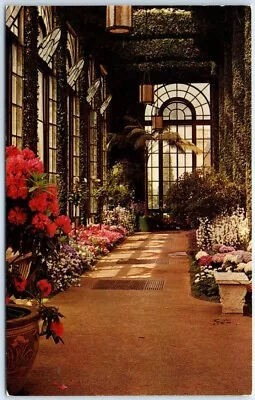 Postcard Longwood Gardens Kennett Square Pennsylvania USA Spring Conservatory • $2.54