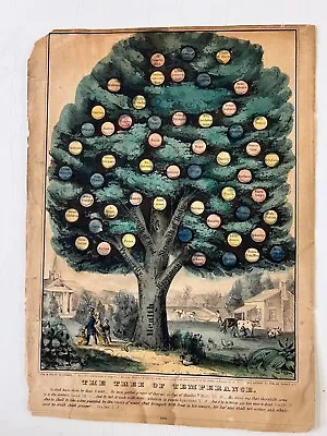 Early Antique N. Currier   The Tree Of Temperance  1850s Color Litho  • $27