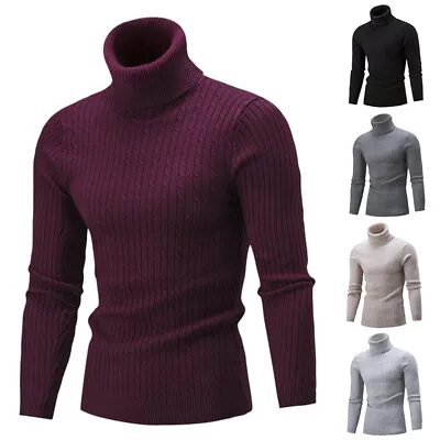 Men Turtleneck Long Sleeve Sweater Winter Basic Jumper Top Knitwear Pullovers • $15.86
