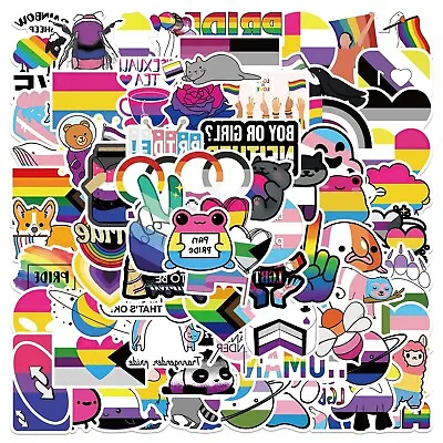 100 LGBT Pride Mixed Gender Sexuality LGBTQ+  Waterproof  Vinyl Decal Stickers • £6.99