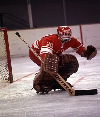 Goalie Vladislav Tretiak CCCP Russia Game Action Color 8 X 10 Picture Photo • $5.99