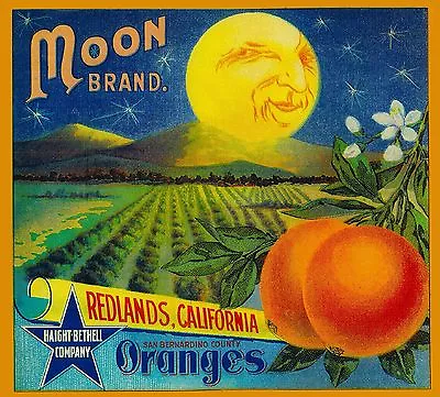 Redlands Moon Brand California Orange Citrus Fruit Crate Label Print • $7.49