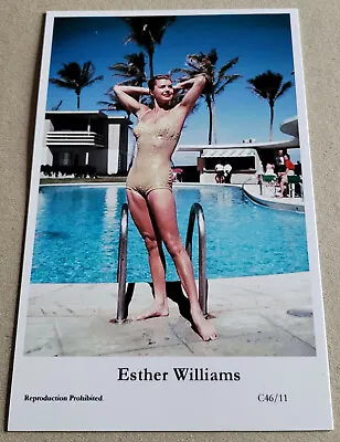 £9.04 • Buy Postcard Esther Williams | Sexy Portrait | Photo StarPostcard #2144