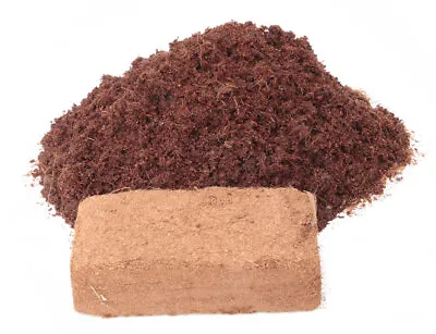 Coir Brick Peat Free Garden Compost Organic Coconut CoCo Fiber Reptile Substrate • £12.99