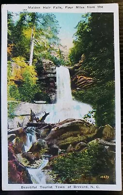 Vintage Postcard~ Maiden Hair Falls~ Near Brevard North Carolina NC • $6.95