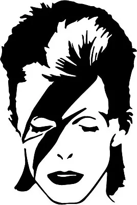 David Bowie In Or Outdoor Anywhere Art Decal/Sticker In Gloss Vinyl 20cm X 30cm  • £6.95