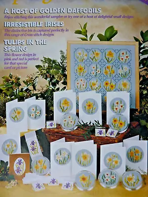 9357]X Stitch Chart-Daffodil Motifs Applied To Cards & Sampler & Cushion Cover • £1.80