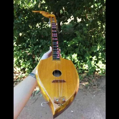 Phin For Children Lyre Craft Acoustic Guitar Traditional Musical Pin Instrument  • $119.98